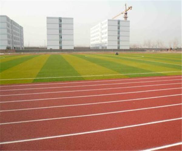 塑膠跑道每平方價(jià)格？